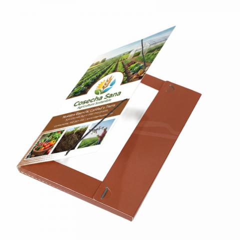 CARPETA