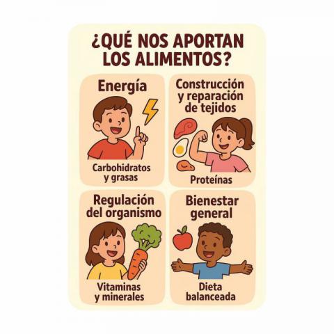 CALENDARIO DE BOLSILLO