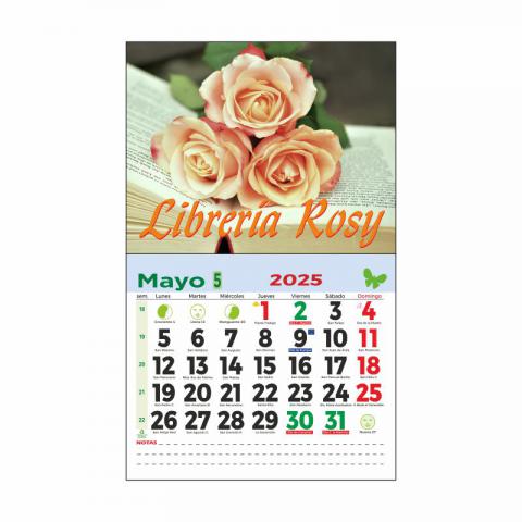 CALENDARIO ESPECIAL PARED