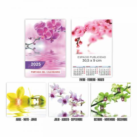 CALENDARIO DE PARED TRIMESTRAL 