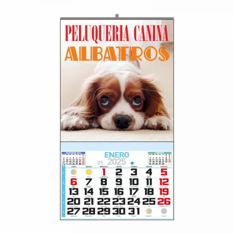 CALENDARIO ESPECIAL PARED