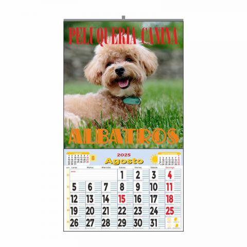 CALENDARIO ESPECIAL PARED