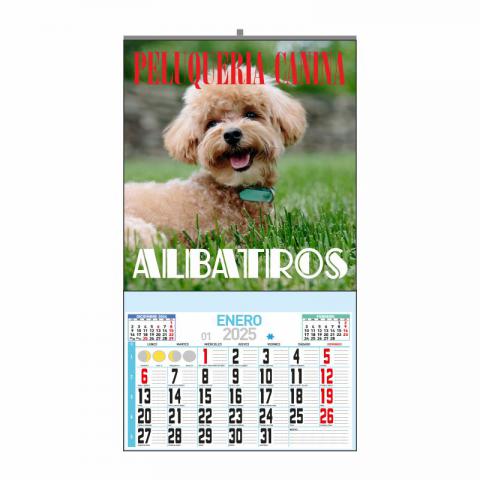CALENDARIO ESPECIAL PARED