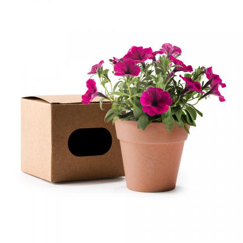 FLOWER POT