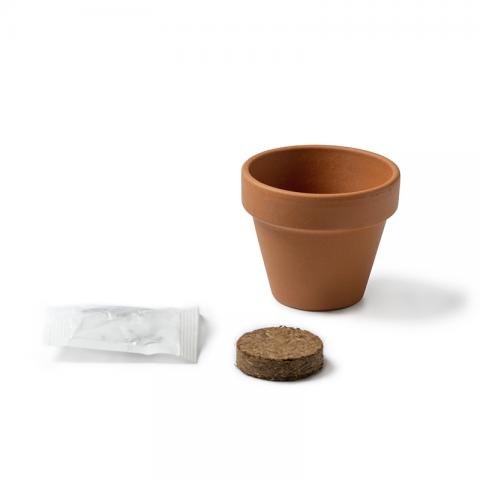 FLOWER POT