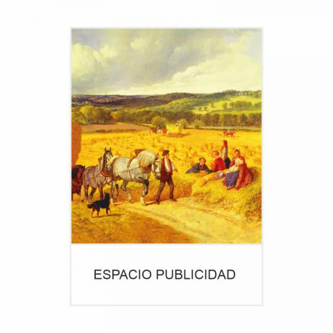 CALENDARIO PARED MEDIANO